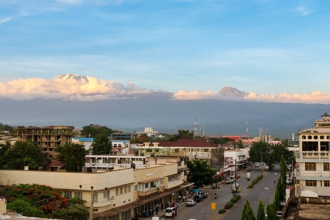 Day Trip to Materuni Waterfall, Coffee Tour and Moshi Nightlife - Booking and Cancellation Policy