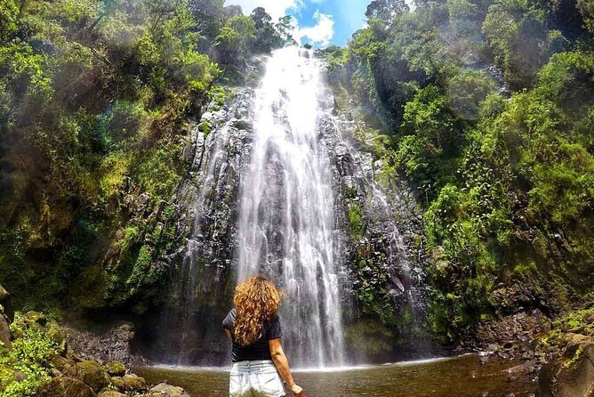 Day Trip to Materuni Waterfall, Coffee Tour and Moshi Nightlife - Coffee Tour Experience