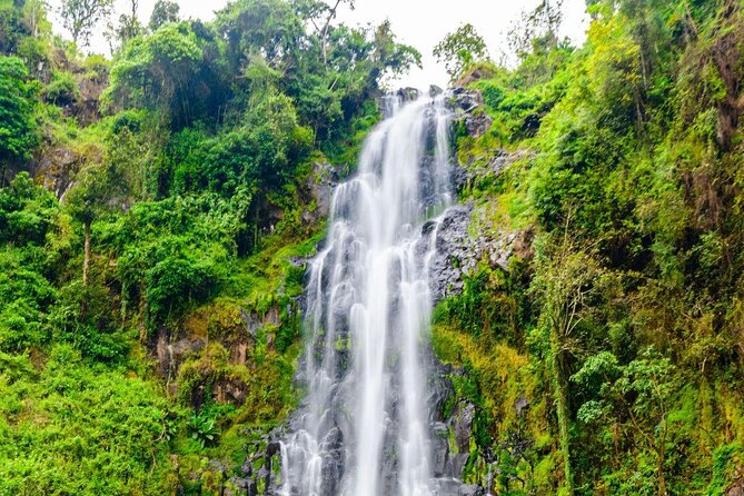 Day Trip to Materuni Waterfalls and Coffee Tour - Key Points