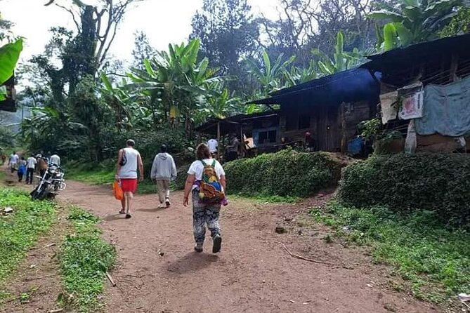 Day Trip to Materuni Waterfalls and Coffee Tour - Pricing and Inclusions