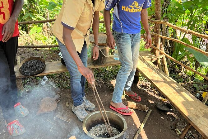 Day Trip to Materuni Waterfalls and Coffee Tour - Meeting Point and Pickup