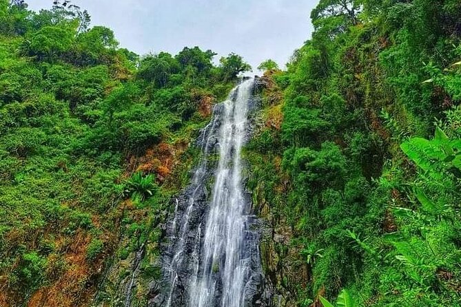 Day Trip to Materuni Waterfalls and Coffee Tour - Reviews and Testimonials