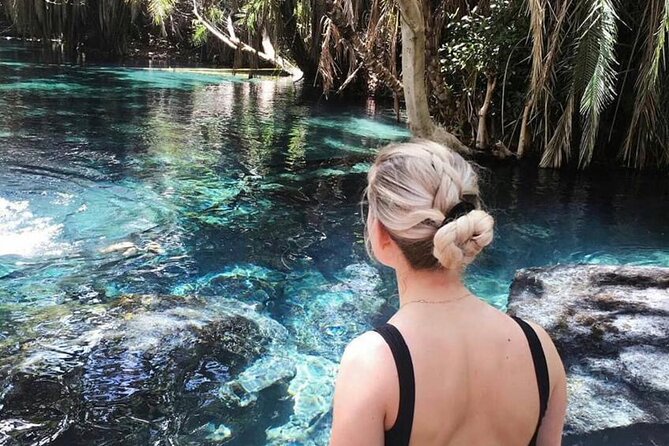 Day Trip to Materuni Waterfalls & Chemka Hotsprings - Key Points