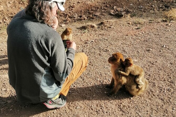 Day Trip to Middle Atlas Mountain and Berber Villages From Fes - Health and Accessibility