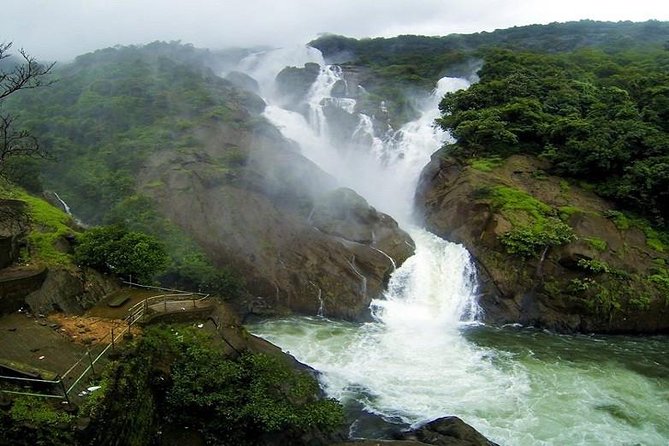 Day Trip to Mollem National Park Including Dudhsagar Falls and Jeep Safari From Goa - Spice Farm Exploration