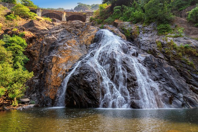 Day Trip to Mollem National Park Including Dudhsagar Falls and Jeep Safari From Goa - Additional Information