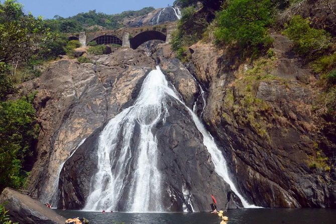 Day Trip to Mollem National Park Including Dudhsagar Falls and Jeep Safari From Goa - Highlights of the Day