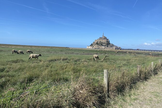 Day Trip to Mont-Saint-Michel From Rennes - Medical Requirements