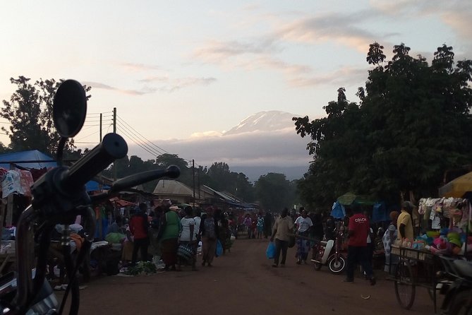 Day Trip to Mount Kilimanjaro - Pickup Information