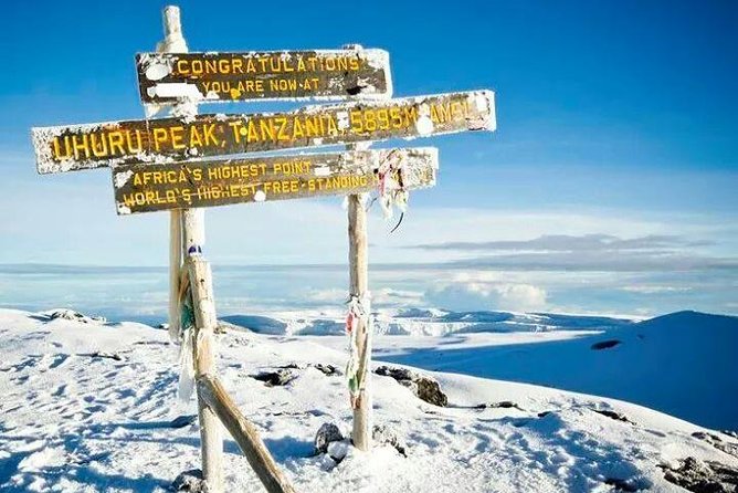 Day Trip to Mount Kilimanjaro - Reaching the Summit