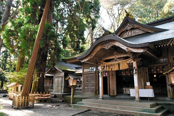 Day Trip to Mythical Takachiho From Fukuoka by Shared Mini Bus - Booking Information
