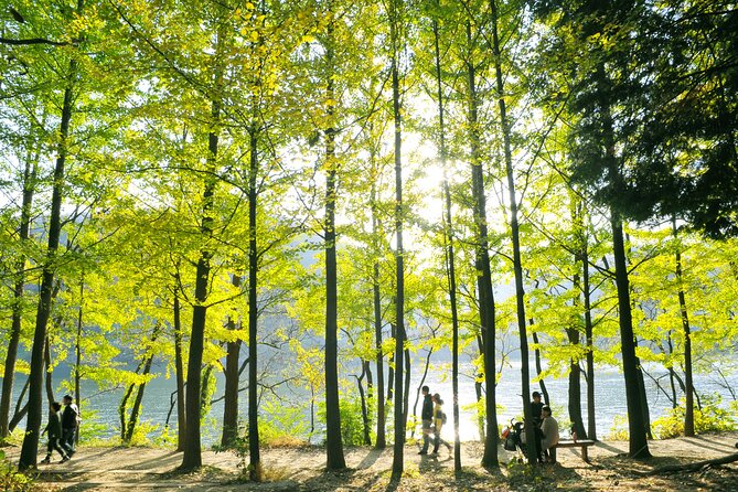 Day Trip to Nami Island With Rail Bike and the Garden of Morning Calm - Gangchon Rail-bike Park Adventure
