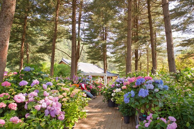 Day Trip to Nami Island With the Garden of Morning Calm - Experiencing Nami Island