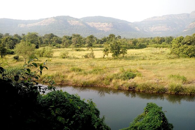 Day Trip to Nandi Hills (Guided Private Sightseeing Experience From Bangalore) - Local Tips and Recommendations