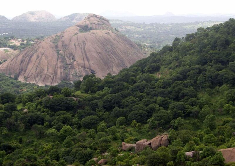 Day Trip to Nature Trails (Guided Tour From Bangalore) - Key Points