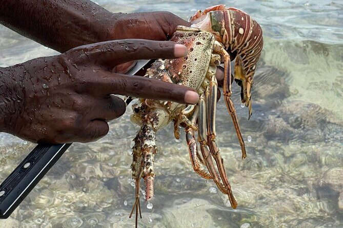 Day Trip to Negril from Montego Bay/Boat Ride to Booby Cay Island/Lobster Lunch - Starting Point: From Montego Bay to Negril