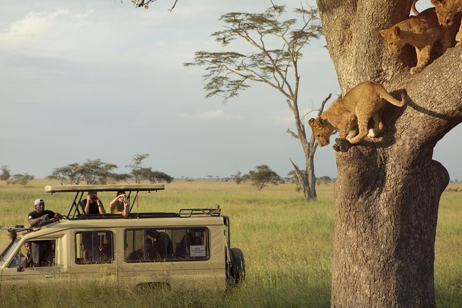 Day Trip to Ngorongoro Crater - Inclusions and Exclusions