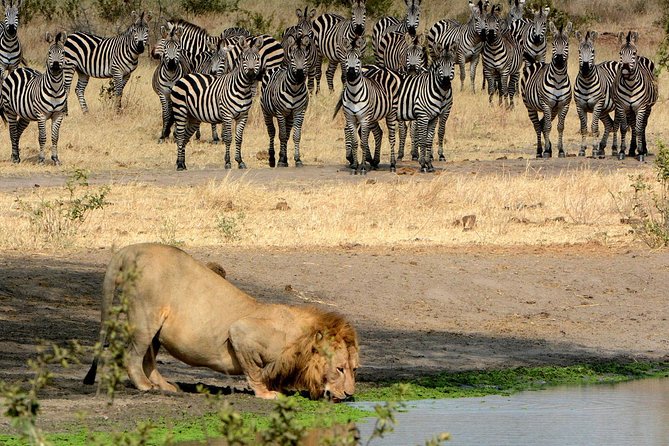 Day Trip to Ngorongoro Crater - Ngorongoro Crater Safari