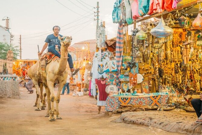 Day Trip to Nubian Village With Camel Tour From Aswan - Tour Reviews