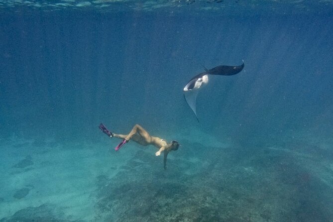 Day Trip to Nusa Penida: 4 Snorkeling, Manta Rays & Land Tour - Inclusions