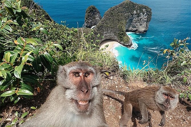 Day Trip to Nusa Penida: 4 Snorkeling, Manta Rays & Land Tour - Snorkeling Sites
