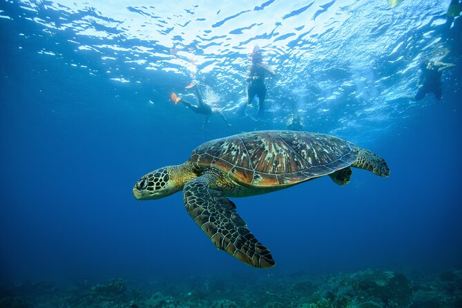 Day Trip to Nusa Penida: 4 Snorkeling, Manta Rays & Land Tour - Land Tour