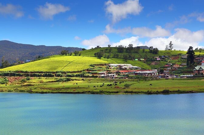 Day Trip to Nuwara Eliya From Kandy - Good To Know