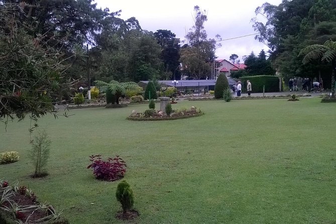 Day Trip to Nuwara Eliya From Kandy - Highlights of the Nuwara Eliya Experience