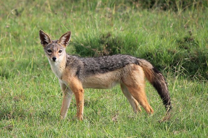 Day Trip to Ol Pejeta Conservancy From Nairobi - Booking and Cancellation Policy