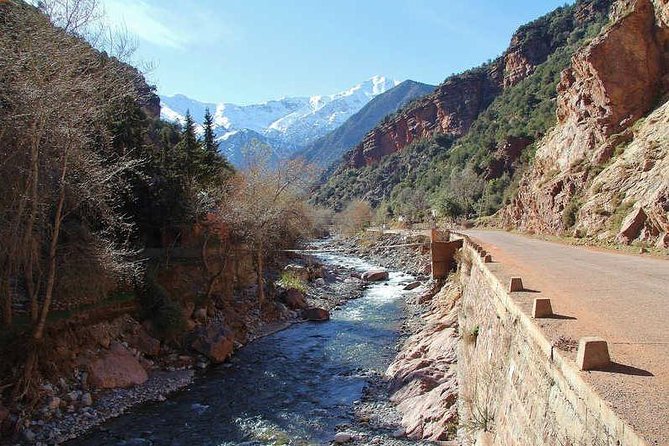 Day Trip To Ourika Valley - Transportation and Accessibility