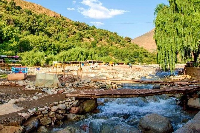 Day Trip To Ourika Valley - What to Expect