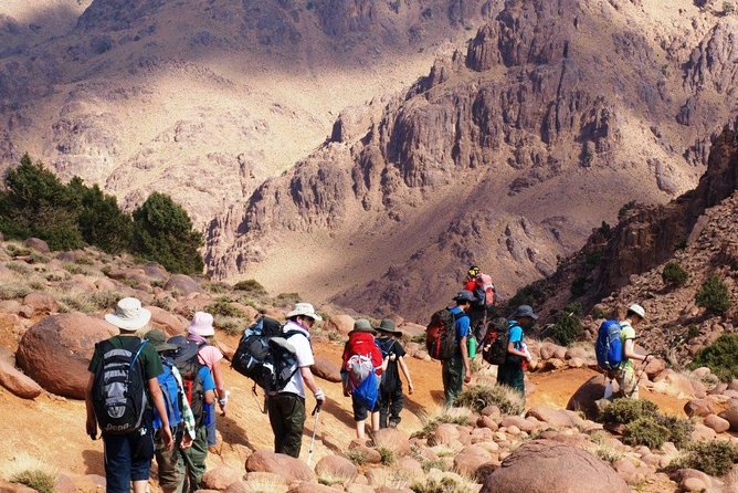Day Trip to Ourika Valley and Berber Villages - Ourika Valley Exploration