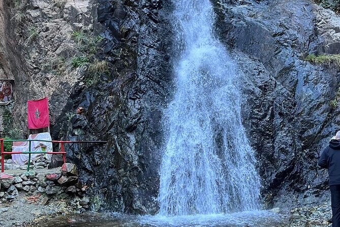 Day Trip to Ourika Valley From Marrakech - About the Tour Operator