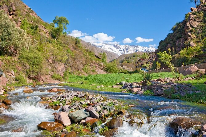 Day Trip to Ourika Valley From Marrakech With Lunch - Insight Into Berber Culture