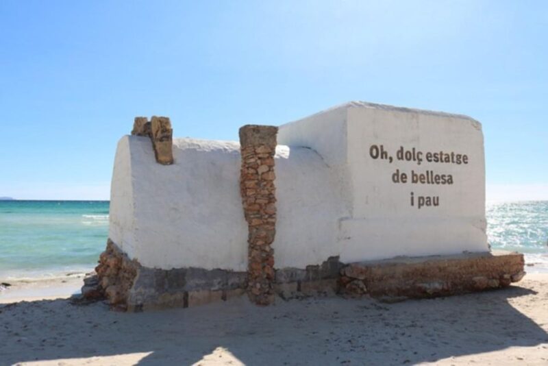 Day Trip to Palma Bay and Es Trenc - Key Points