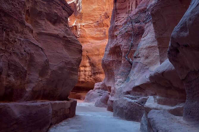 Day Trip to Petra by Ferry From Sharm El Sheikh - Pickup and Start Time Details