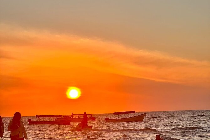 Day Trip to Playa Blanca Baru From Cartagena - Meeting and Pickup Arrangements