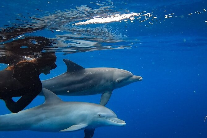Day Trip to Ponta De Ouro Beach /Dolphin Swim+Snorkel+Whale Watch - Inclusions