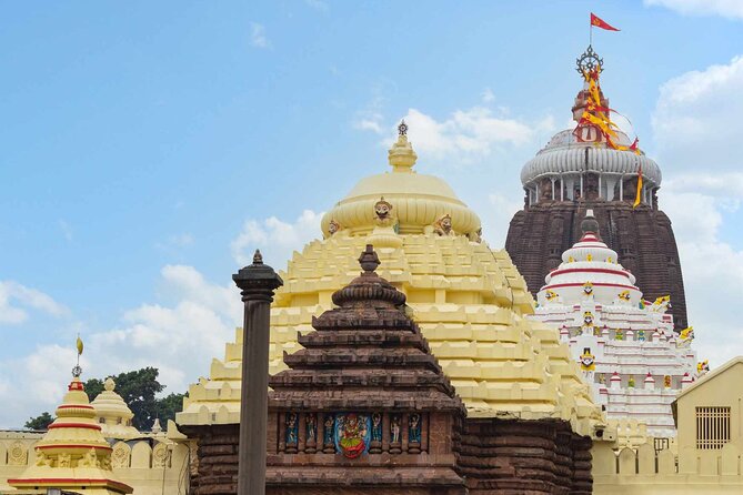 Day Trip to Puri (Guided Private Sightseeing Experience From Bhubaneswar) - Key Points