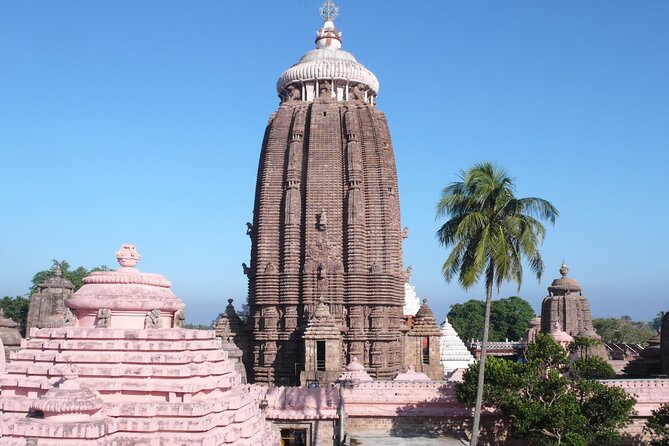 Day Trip to Puri (Guided Private Sightseeing Experience From Bhubaneswar) - Inclusions