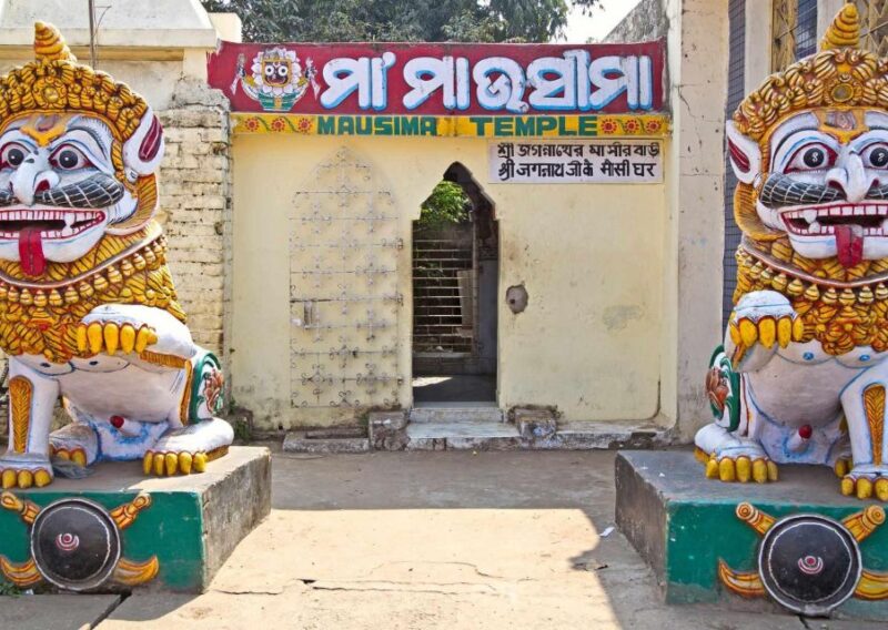 Day Trip to Puri (Guided Private Tour From Bhubaneswar) - Inclusions and Exclusions