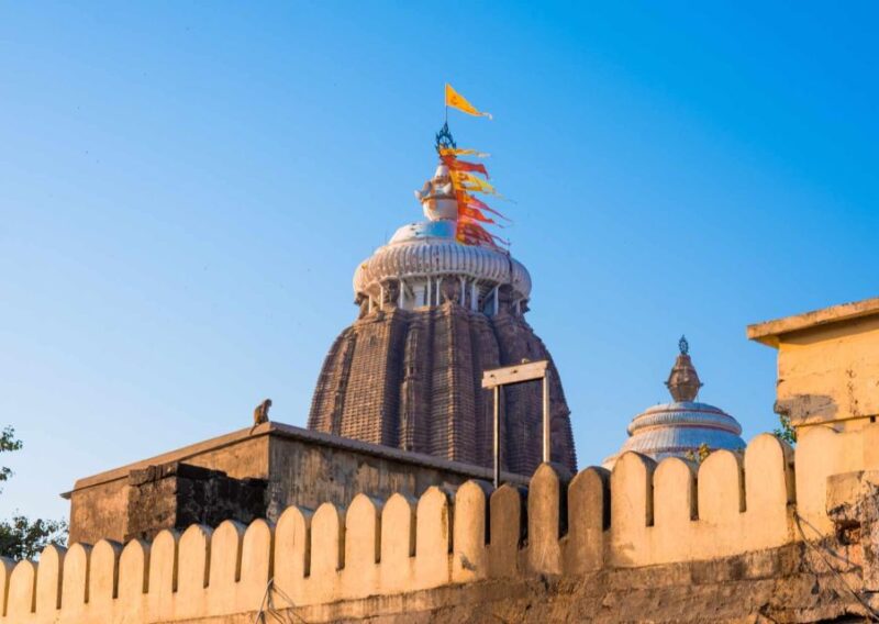 Day Trip to Puri (Guided Private Tour From Bhubaneswar) - Pricing and Duration