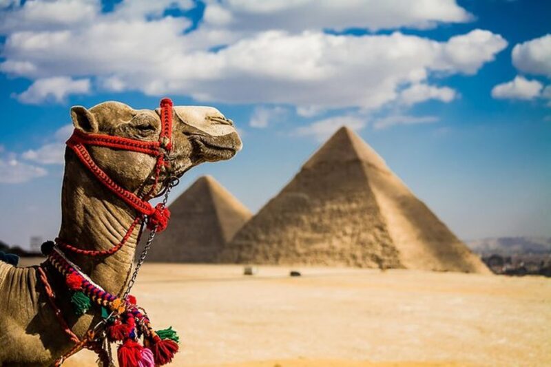 Day Trip to Pyramids & Museum From Ain Sokhna Port - Tour Features