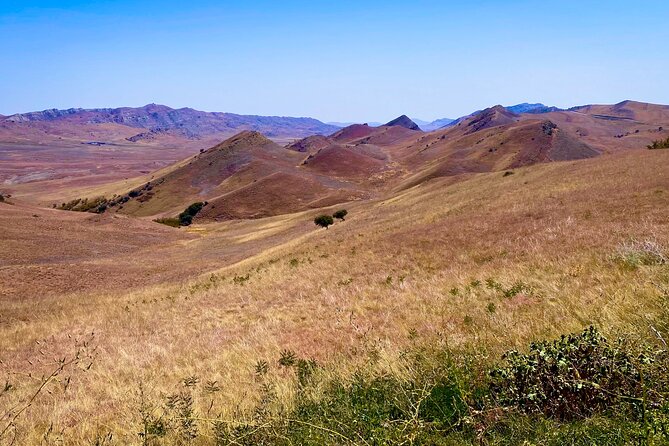 Day Trip to Rainbow Mountains and David Gareja - Meeting and Pickup Details