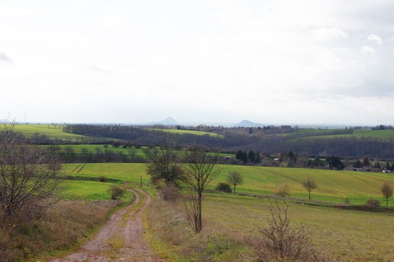 Day Trip to Rothenburg From Frankfurt - Guided Tour Insights