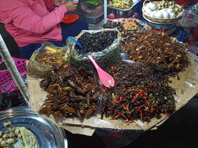 Day Trip to Sambor Preikuk, Kuhak Nokor & Spider Market - Local Market Visit