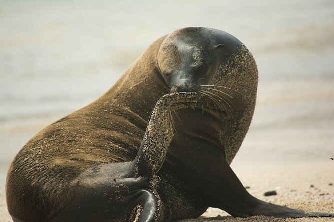 Day Trip to Santa Fe Island From Puerto Ayora - Booking and Refund Policy