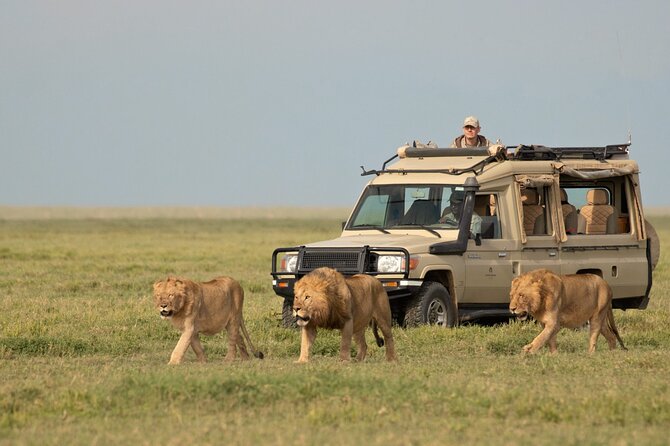 Day Trip to Selous (Nyerere) National Park Flying From Zanzibar - Reviews