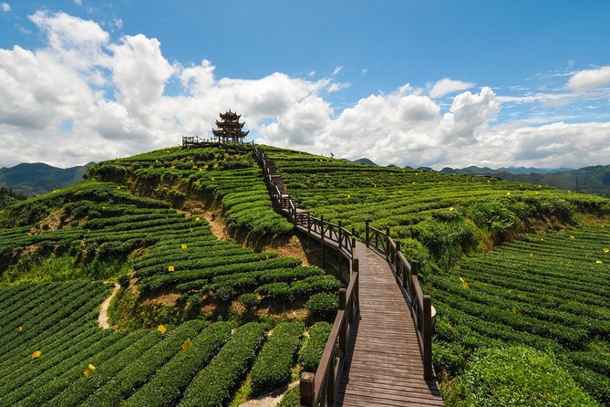 Day Trip to Singalila (Guided Private Sightseeing Experience From Darjeeling) - Explore Singalila National Park