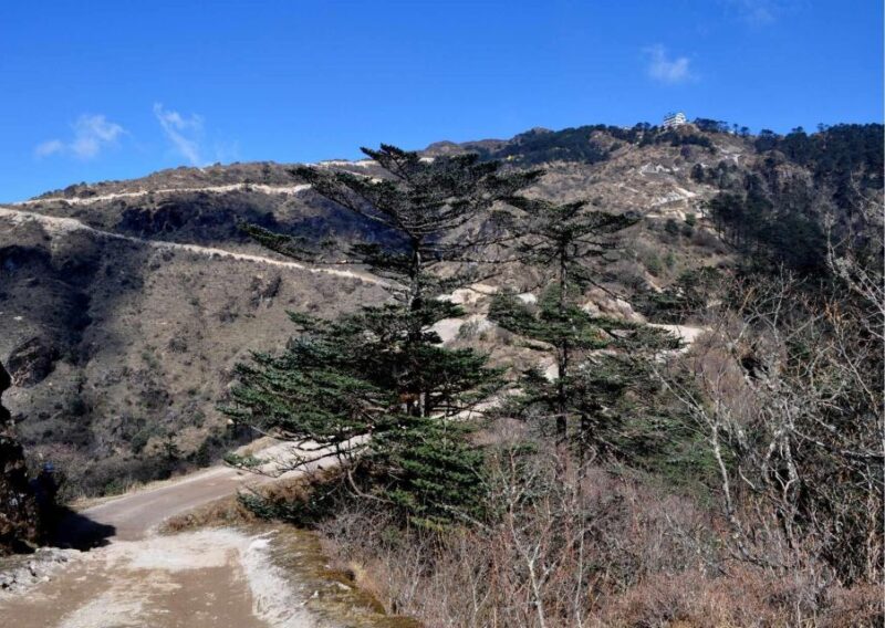 Day Trip to Singalila (Guided Private Sightseeing Tour) - Experience Highlights
